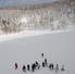 Explore Niseko on a Snowshoe Tour