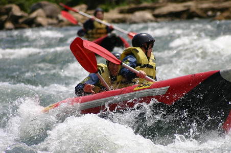 Duckying through our CUPA-no-SEI rapid Summer course