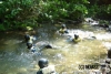 Toyohira (Sapporo) Canyoning