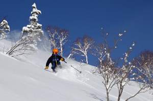 Full-Day Powder Ski Lessons
