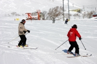 Niseko Ski School lessons