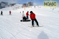 NOASC Niseko Snowboard Lessons